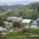 꼬막체험요리및장도웰빙꼬막정식 네이버블로그