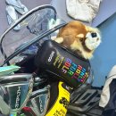 골프존파크 위례중앙광장점 | 위례스크린추천 골프존파크 나의 일상스토리