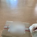명절선물로 추천하는 맛있는 차 꽃뫼영농조합법인 맥문동 건강차선물세트 후기