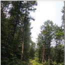 기룡산입구 이미지