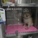 백두 동물병원 이미지