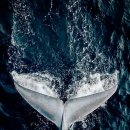 내면탐구 이미지