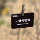 3월8일(일)절두산 의 봄 이미지