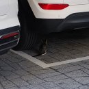 (주)이디오크러시 이미지