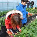 질울고래실마을 이미지