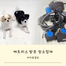 비치움홈스마트케어 이미지