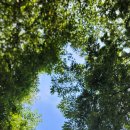 호두나무캠핑장 이미지