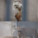 진정1농장 이미지