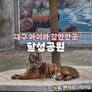 주말 아이와가볼만한곳 무료관람 대구 달성공원 동물원 후기