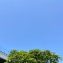 충남 보령 원산도 대형카페 [바이더오] 솔직후기 _ 내돈내산
