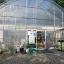 The 하루만펜션 이미지