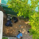 신월동017 이미지