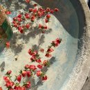 오일베스트 이미지