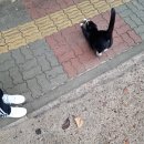참치명적 방이직영점 이미지