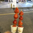 탕친놈의 탕후루 후기 (왕가탕후루, 황후탕후루)