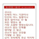 규소 네이버블로그
