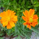 카톨릭병원 이미지