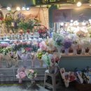 원종인의Flower 이미지