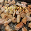 [대전/장대동] 화사가 다녀간 막창으로 승부하는 찐 맛집 &#34;장원생막창 유성장대점&#34; 내돈내산 솔직후기