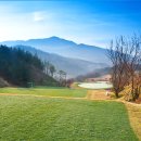 노스팜 컨트리클럽 이미지