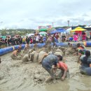 대천초등 이미지