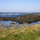 성산에코 이미지