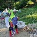 덕적면 면사무소 이미지