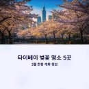 시냇물 2 농장 | 타이베이 벚꽃 명소 5곳, 3월 한정 개화 정보 포함