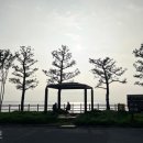 대숲사이 이미지