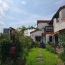 산호대로-76 | 밀크티, 스콘, 버터바, 아이스크림 라떼, 옥수수 에그타르트