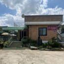 개멍물멍 이미지