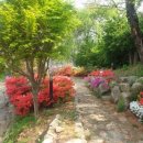 자바브레이크 이미지