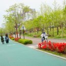 백조호수공원 이미지