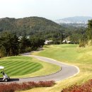 (주)캐슬렉스서울 네이버블로그