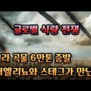 인플레이션이 장기화될 이유..식료품 2차파동 [ 흑해협정파기 + 곡물창고 폭격 + 슈퍼엘리뇨 ] 이미지