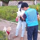 굿모닝동물병원 이미지