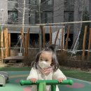 참이누리 이미지