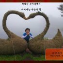 인보래목장 네이버블로그