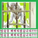 기리 이미지