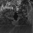 Slave To The Grave · Vile Melancholia 이미지