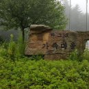 삼거리이용소 - 군위군 치산효령로 2385-7 | 삼거리이용소