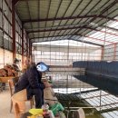 신가리낚시터 이미지