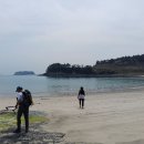 낭도 Daum카페