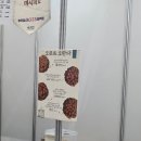 오르트 오란다
