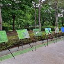 우포따오기 사진전 이미지