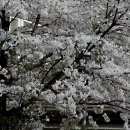 호수언저리 이미지