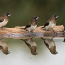 컴퓨터기초활용 이미지