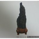 수석연합회 회원전 Daum카페