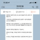 닷찌 이미지