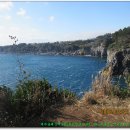 서귀포여자고등학교 이미지